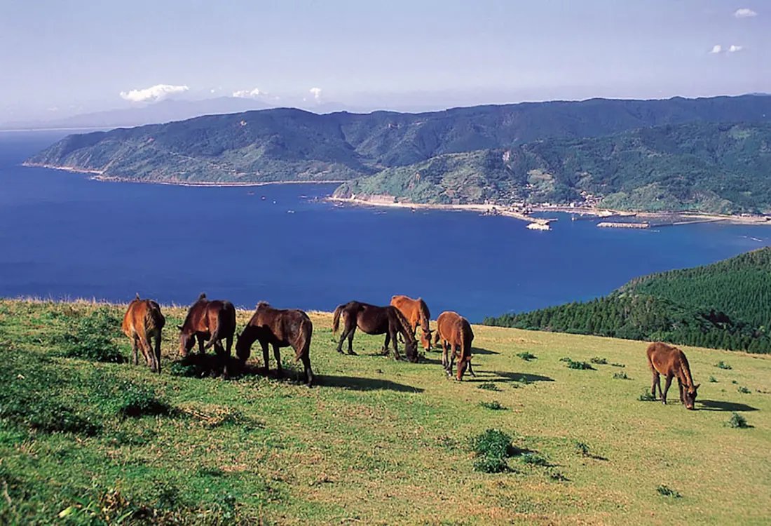 🗼 도이곶 등대(토이미사키토다이) 이미지 5
